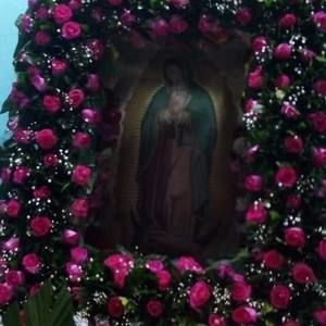 Meet your Posher, Ale